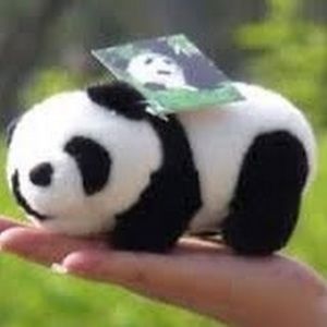 Meet your Posher, Kendra